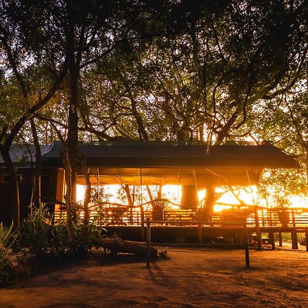 Askiesbos - Samochima Bush Camp Shakawe Bagian luar foto