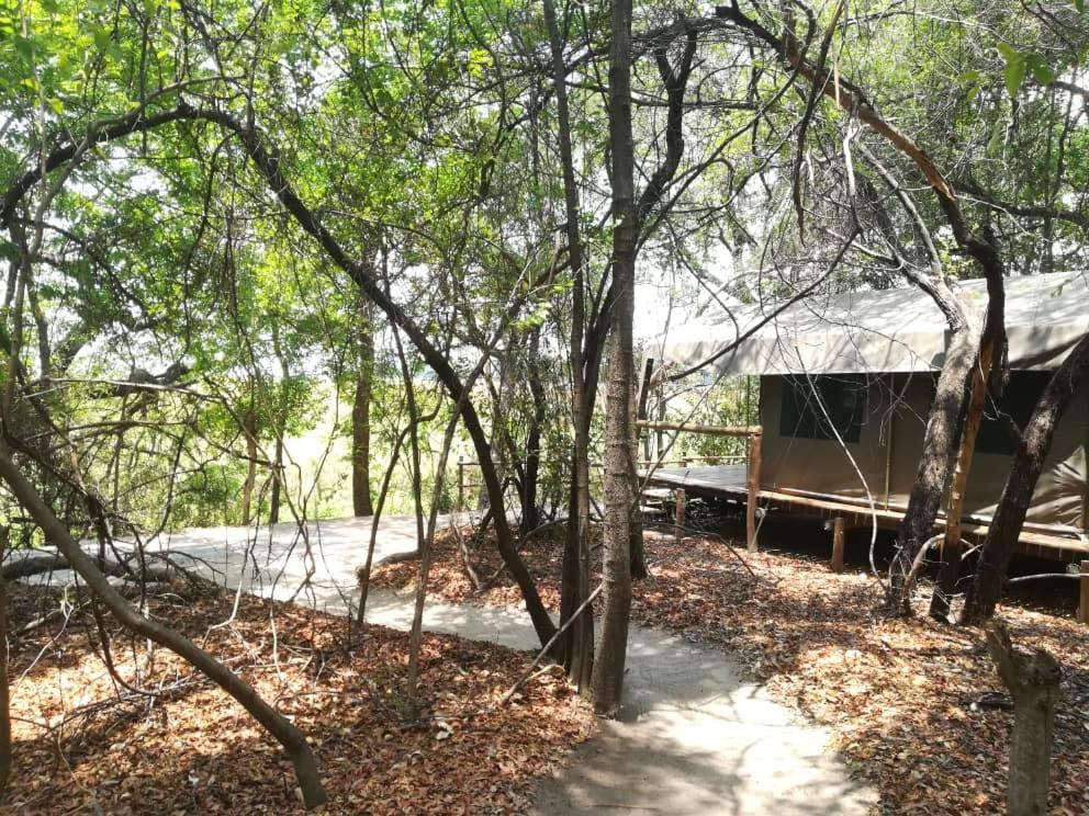 Askiesbos - Samochima Bush Camp Shakawe Bagian luar foto