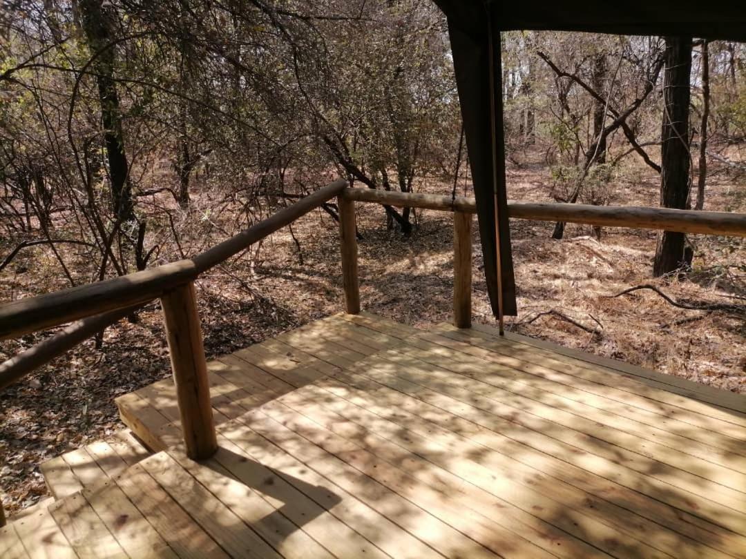 Askiesbos - Samochima Bush Camp Shakawe Bagian luar foto