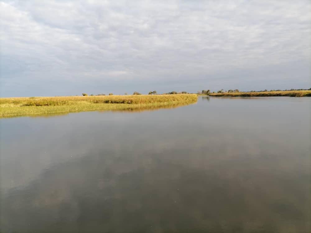 Askiesbos - Samochima Bush Camp Shakawe Bagian luar foto