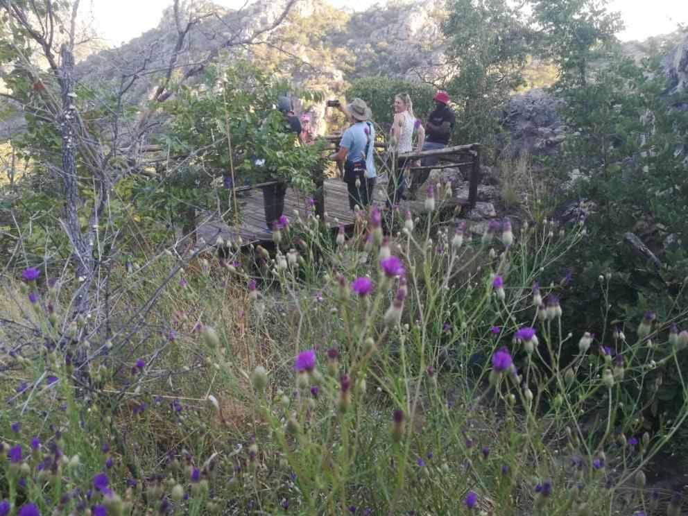 Askiesbos - Samochima Bush Camp Shakawe Bagian luar foto