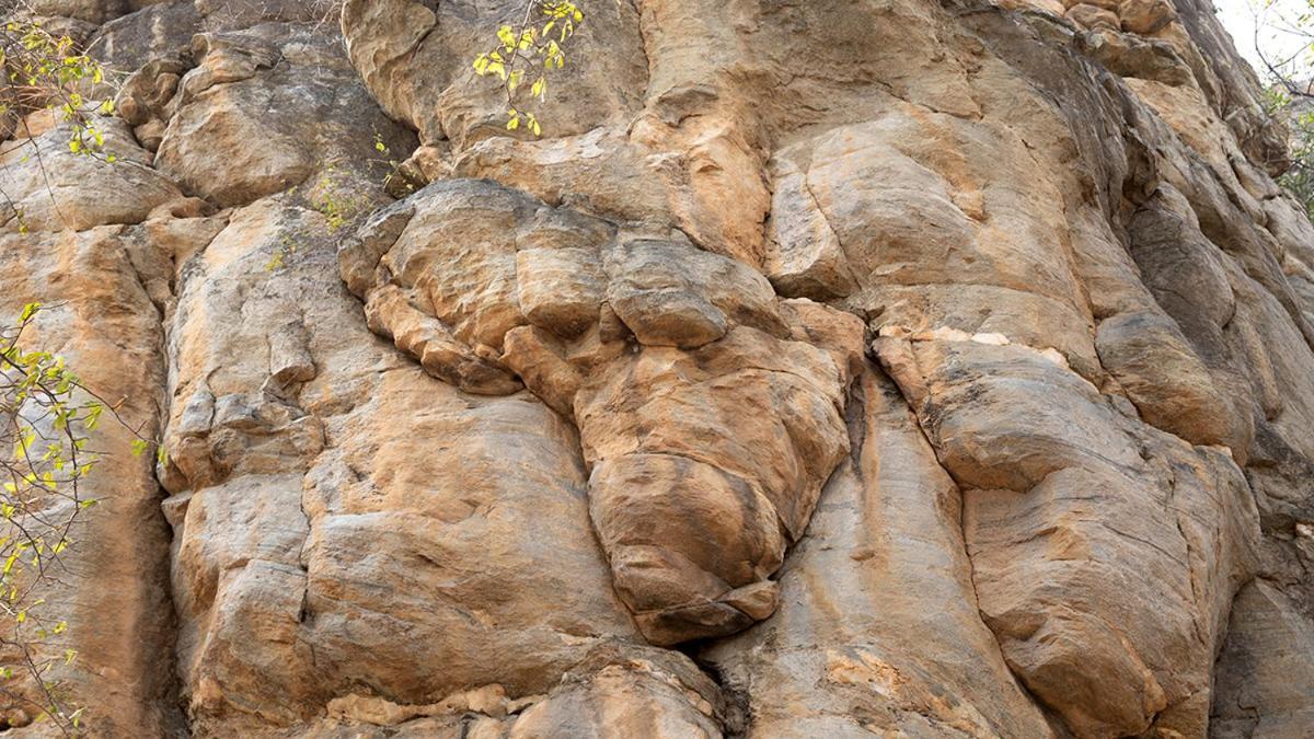 Askiesbos - Samochima Bush Camp Shakawe Bagian luar foto