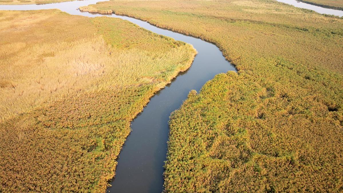 Askiesbos - Samochima Bush Camp Shakawe Bagian luar foto