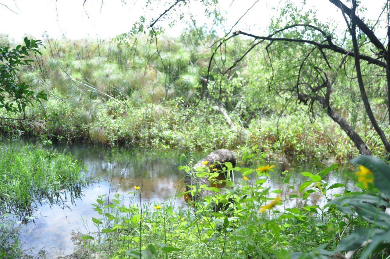 Askiesbos - Samochima Bush Camp Shakawe Bagian luar foto